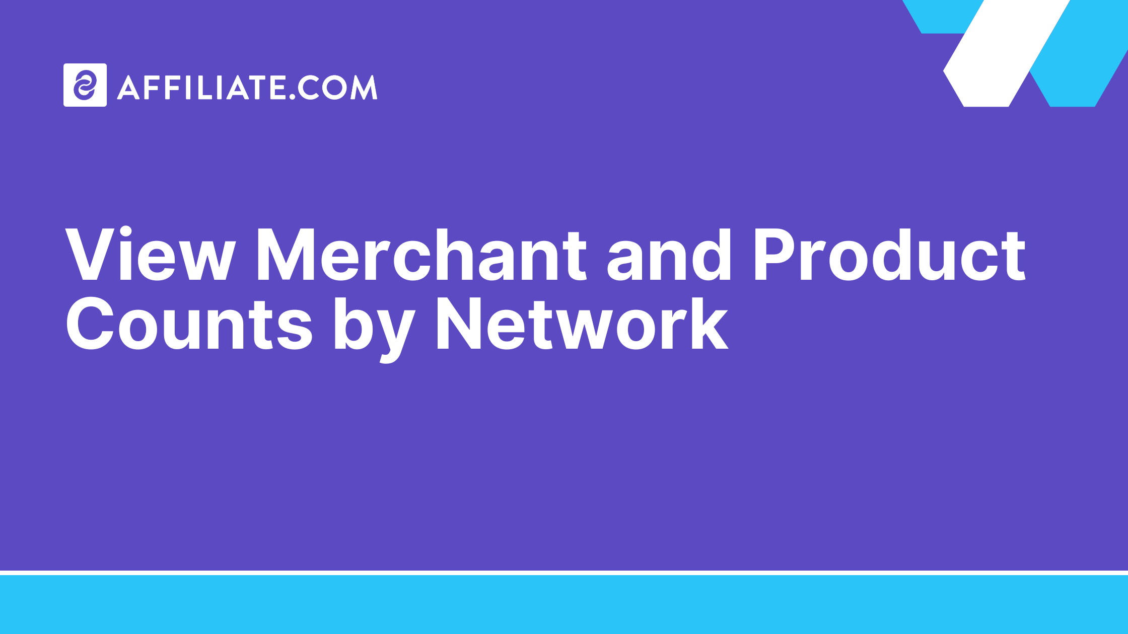 View Merchant and Product Counts by Network